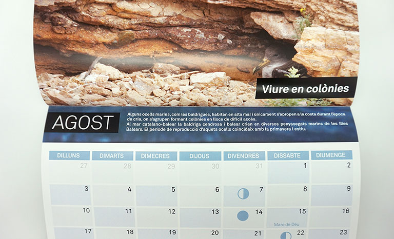 Calendario pared revista